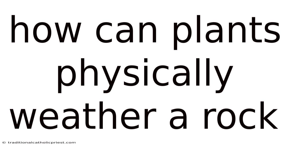 How Can Plants Physically Weather A Rock