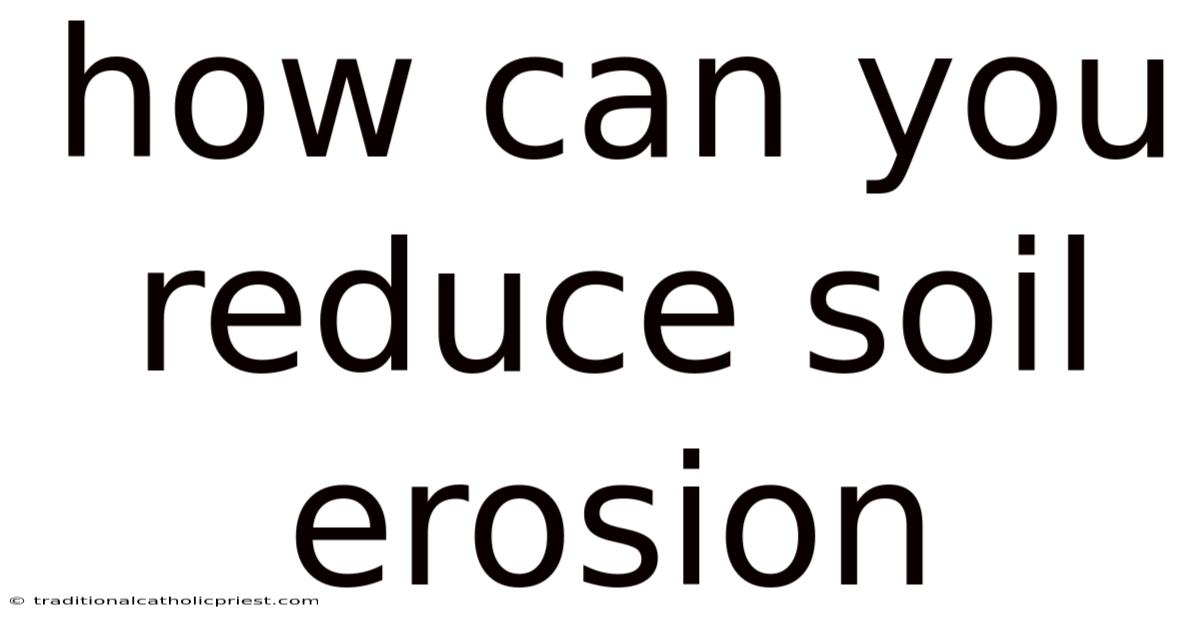 How Can You Reduce Soil Erosion