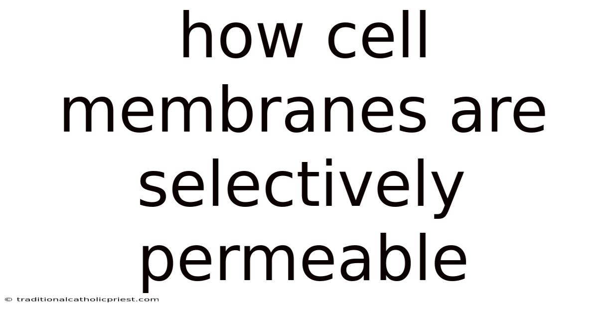 How Cell Membranes Are Selectively Permeable