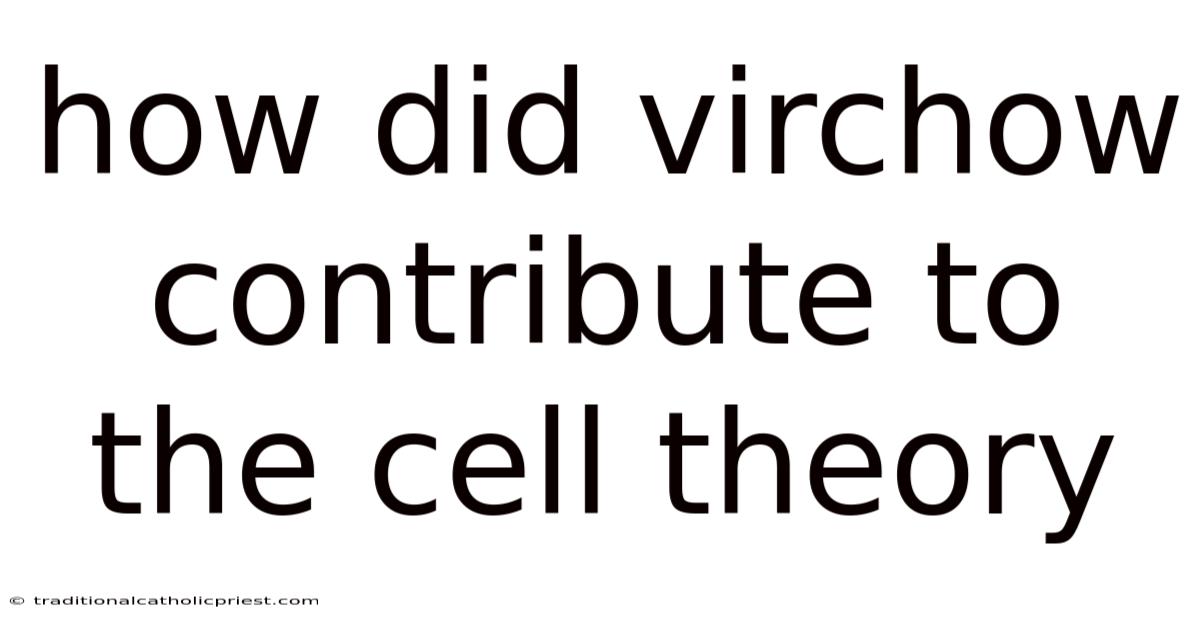 How Did Virchow Contribute To The Cell Theory