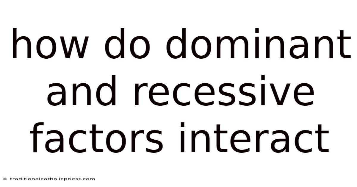 How Do Dominant And Recessive Factors Interact