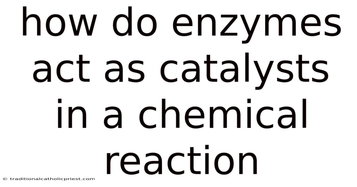 How Do Enzymes Act As Catalysts In A Chemical Reaction