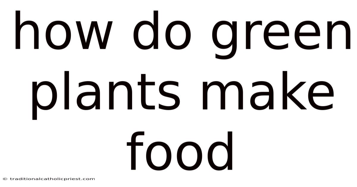 How Do Green Plants Make Food