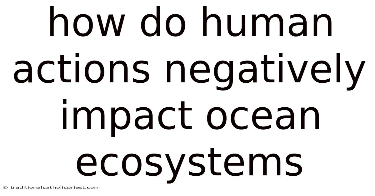 How Do Human Actions Negatively Impact Ocean Ecosystems