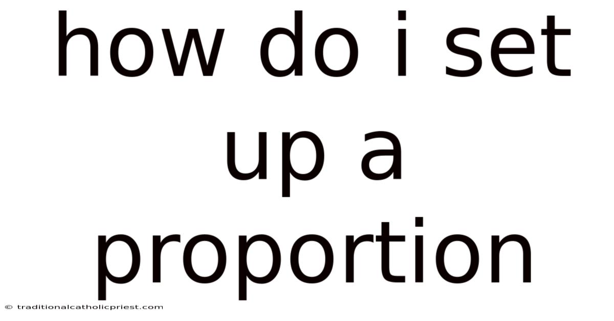 How Do I Set Up A Proportion