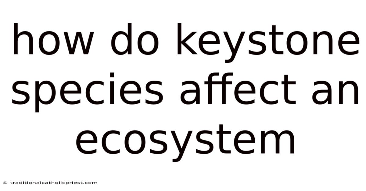 How Do Keystone Species Affect An Ecosystem