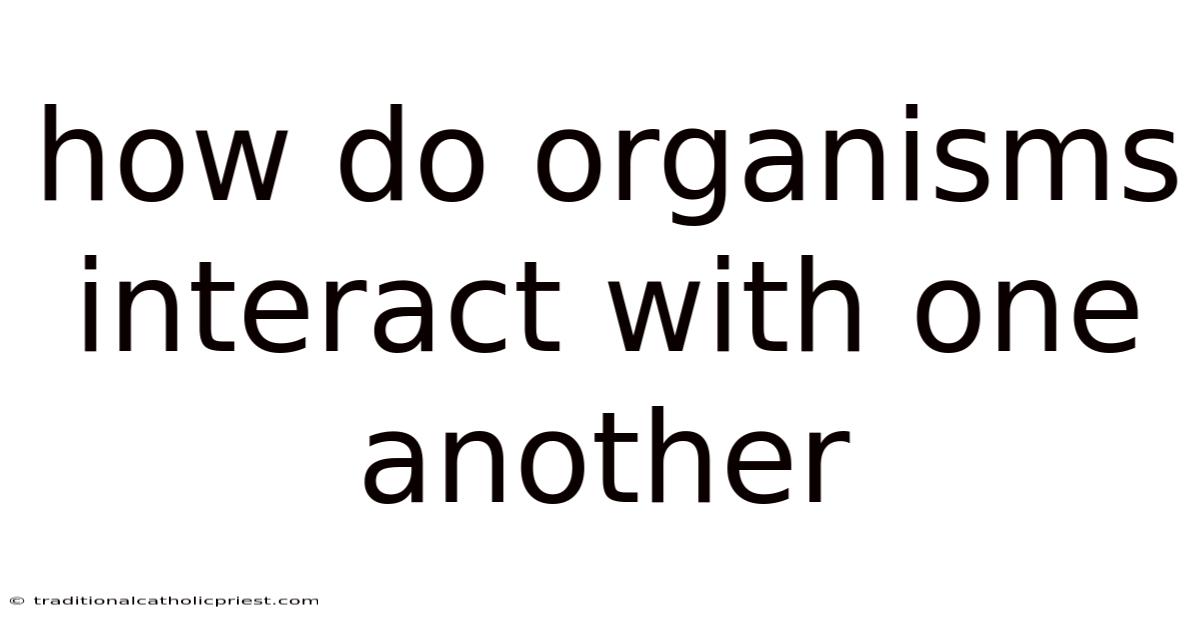 How Do Organisms Interact With One Another