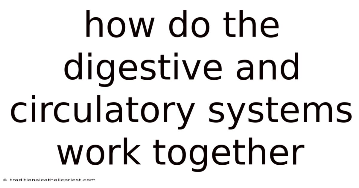 How Do The Digestive And Circulatory Systems Work Together