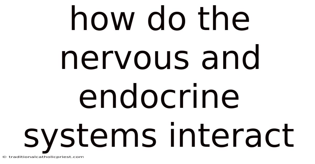 How Do The Nervous And Endocrine Systems Interact