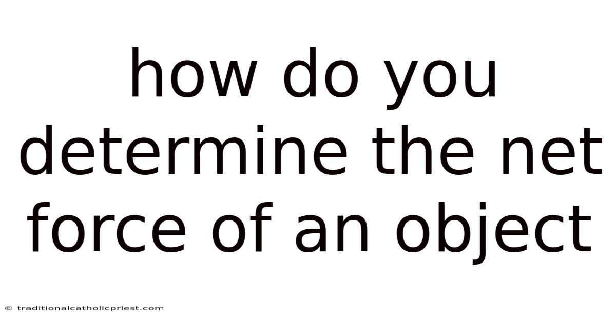 How Do You Determine The Net Force Of An Object