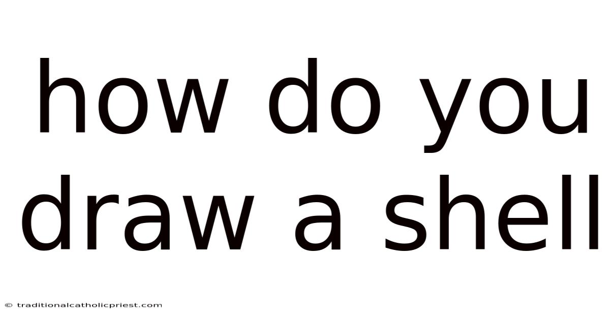 How Do You Draw A Shell