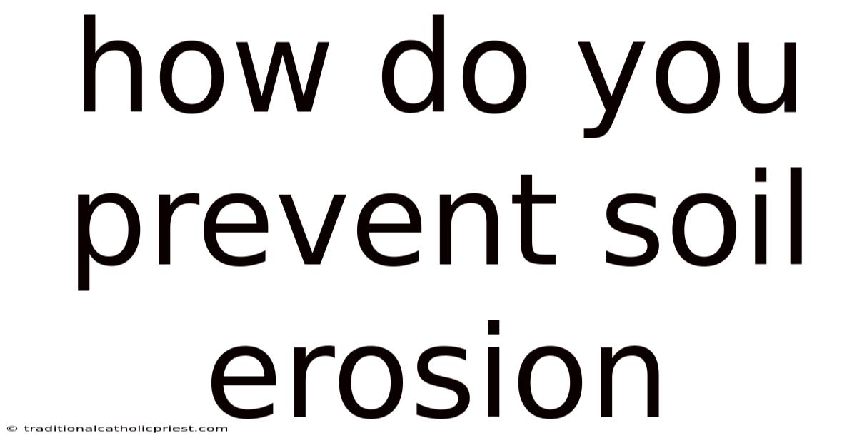 How Do You Prevent Soil Erosion