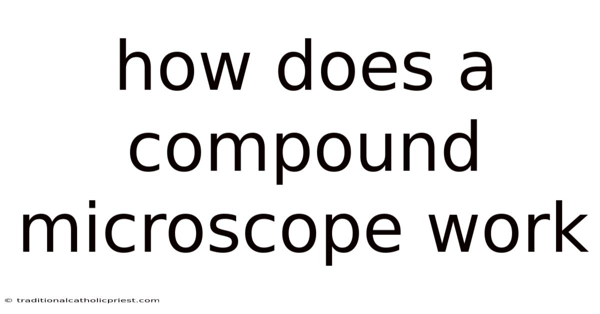 How Does A Compound Microscope Work