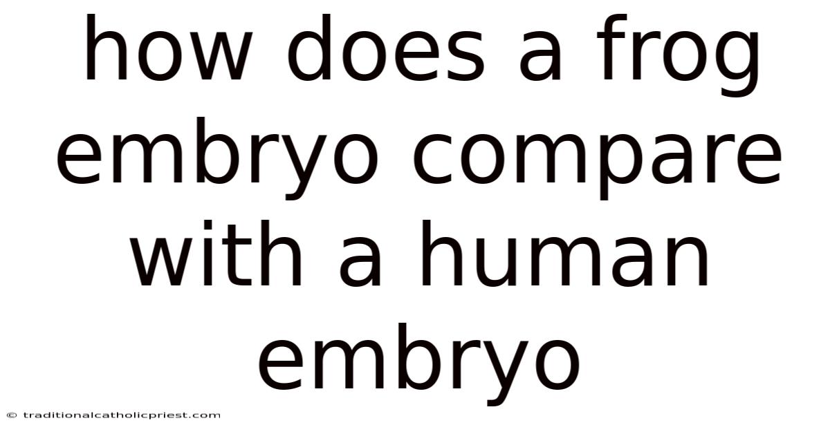 How Does A Frog Embryo Compare With A Human Embryo