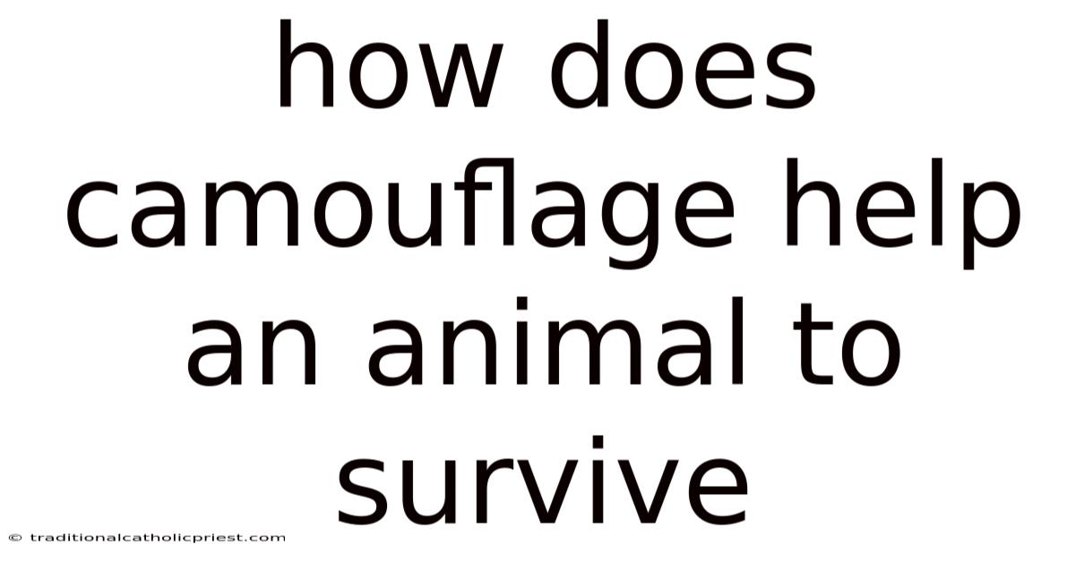 How Does Camouflage Help An Animal To Survive