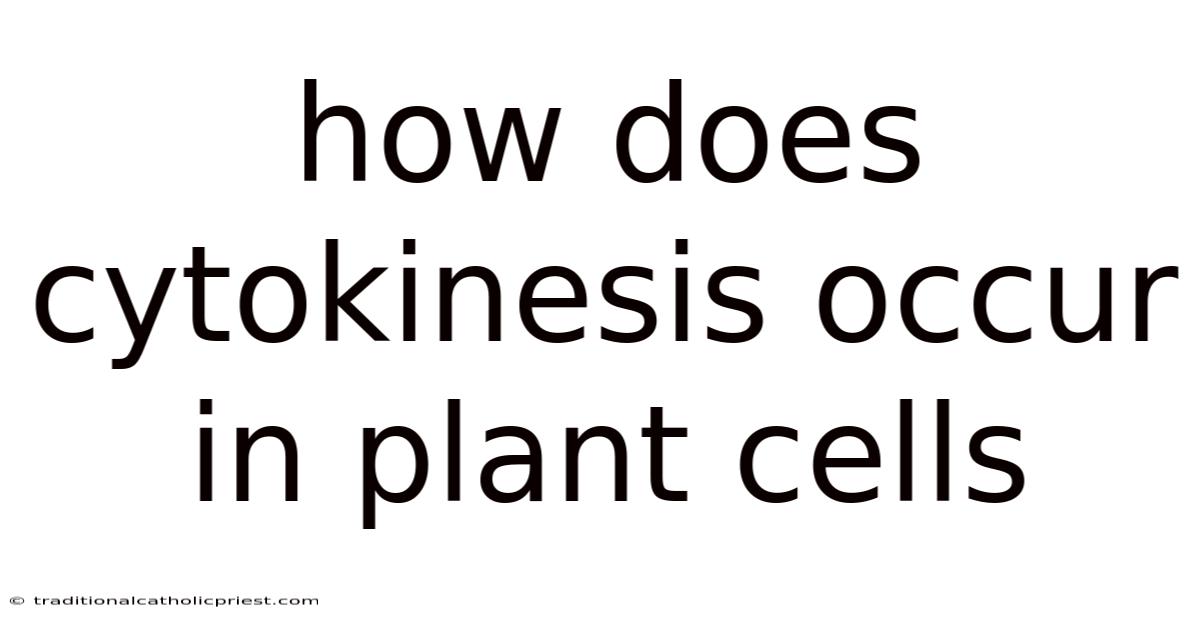 How Does Cytokinesis Occur In Plant Cells