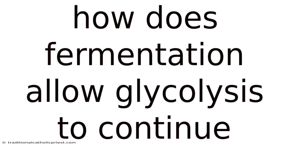 How Does Fermentation Allow Glycolysis To Continue