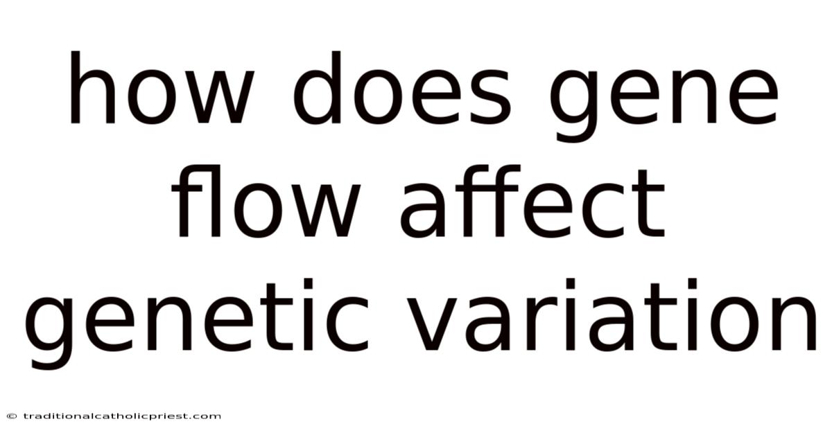 How Does Gene Flow Affect Genetic Variation