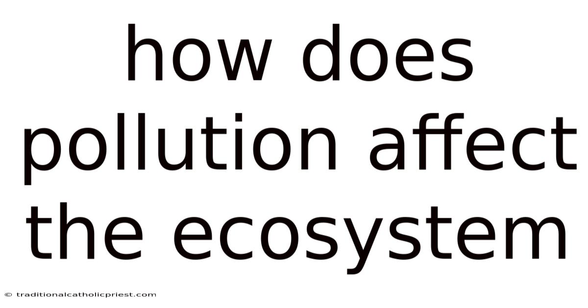 How Does Pollution Affect The Ecosystem