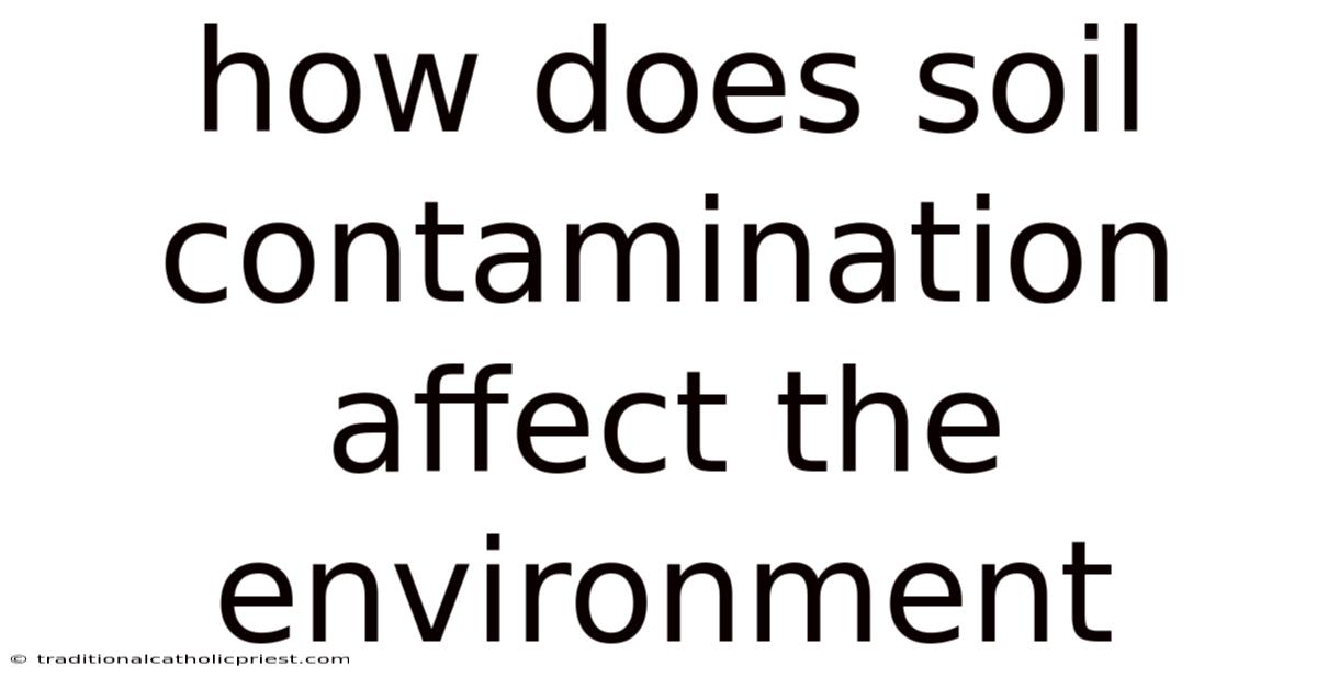 How Does Soil Contamination Affect The Environment