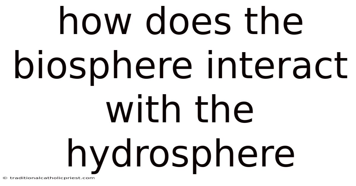 How Does The Biosphere Interact With The Hydrosphere