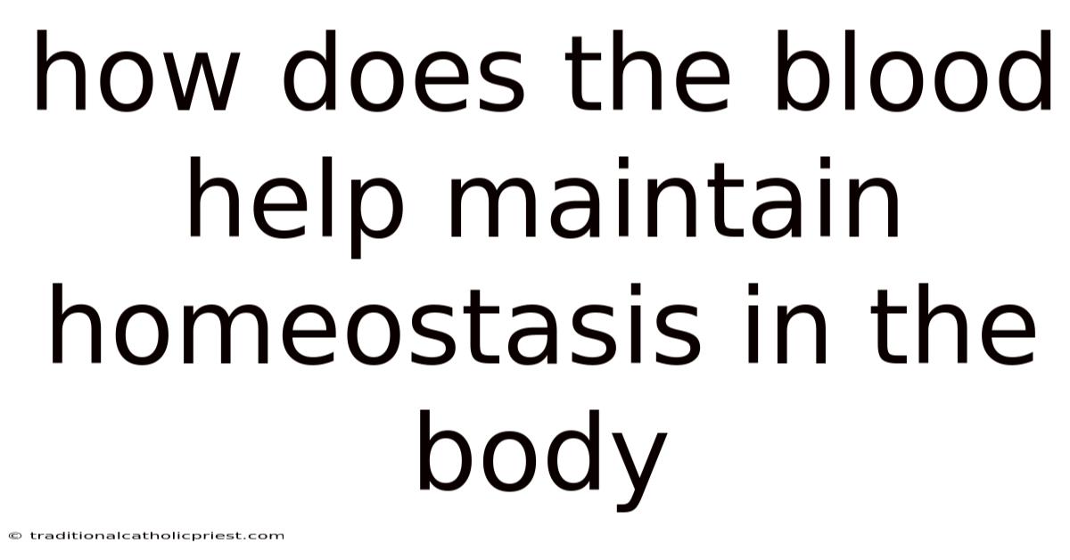 How Does The Blood Help Maintain Homeostasis In The Body