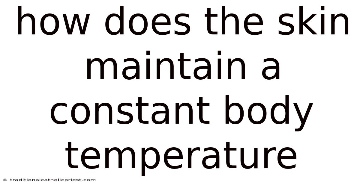 How Does The Skin Maintain A Constant Body Temperature