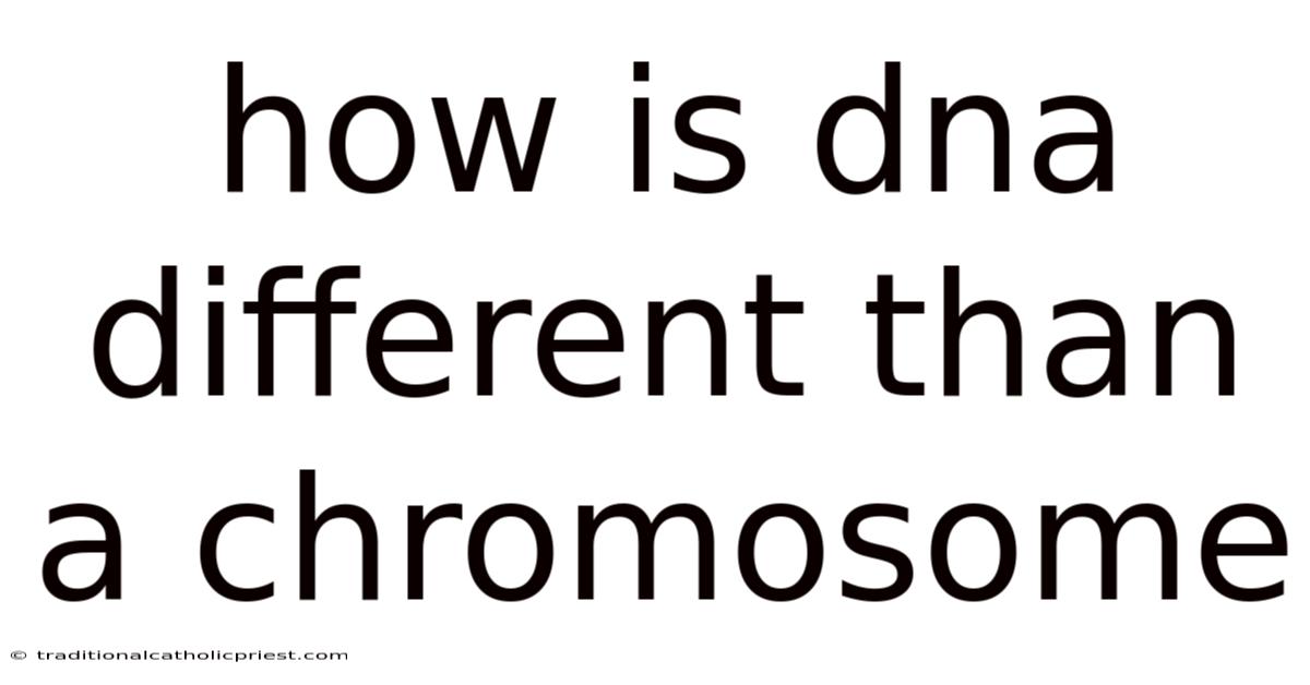 How Is Dna Different Than A Chromosome