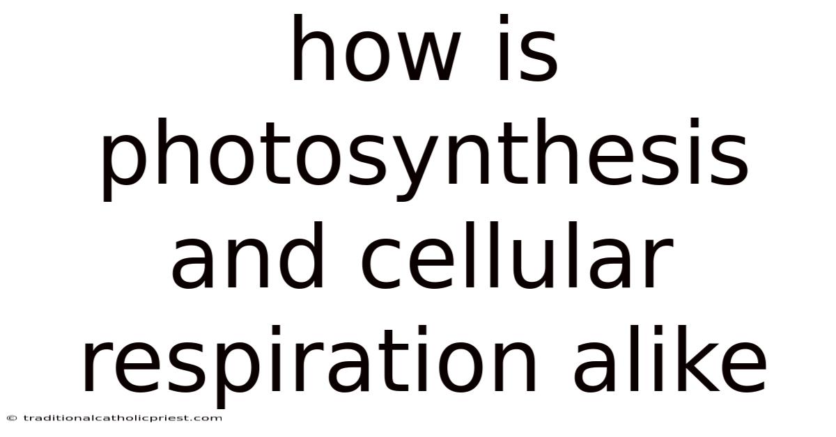 How Is Photosynthesis And Cellular Respiration Alike