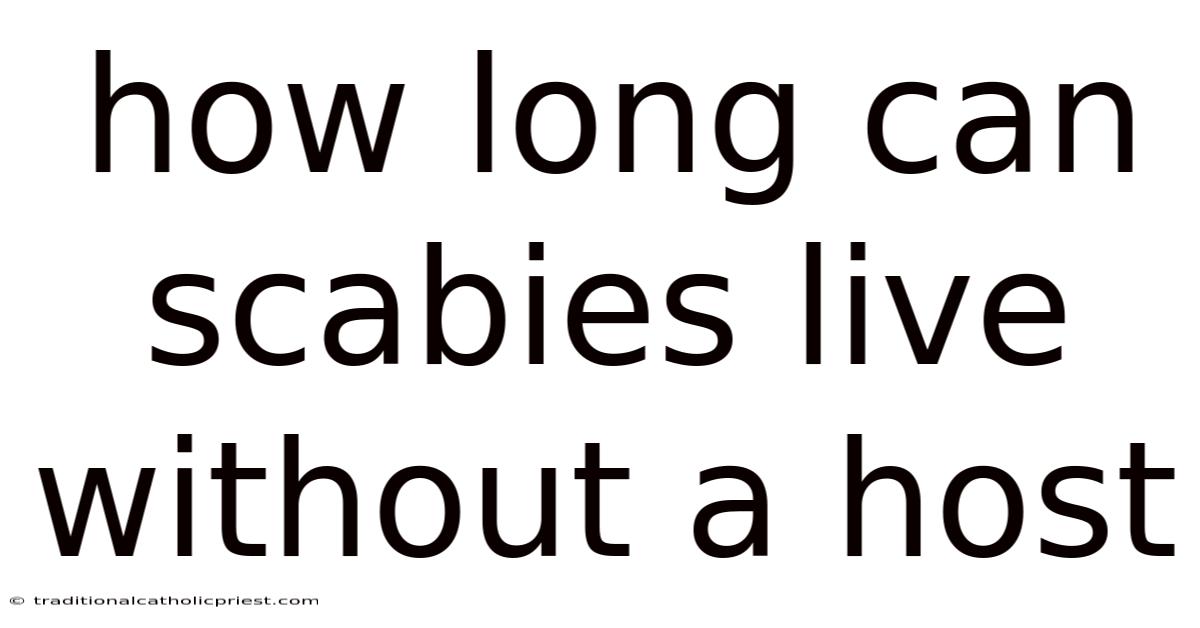 How Long Can Scabies Live Without A Host
