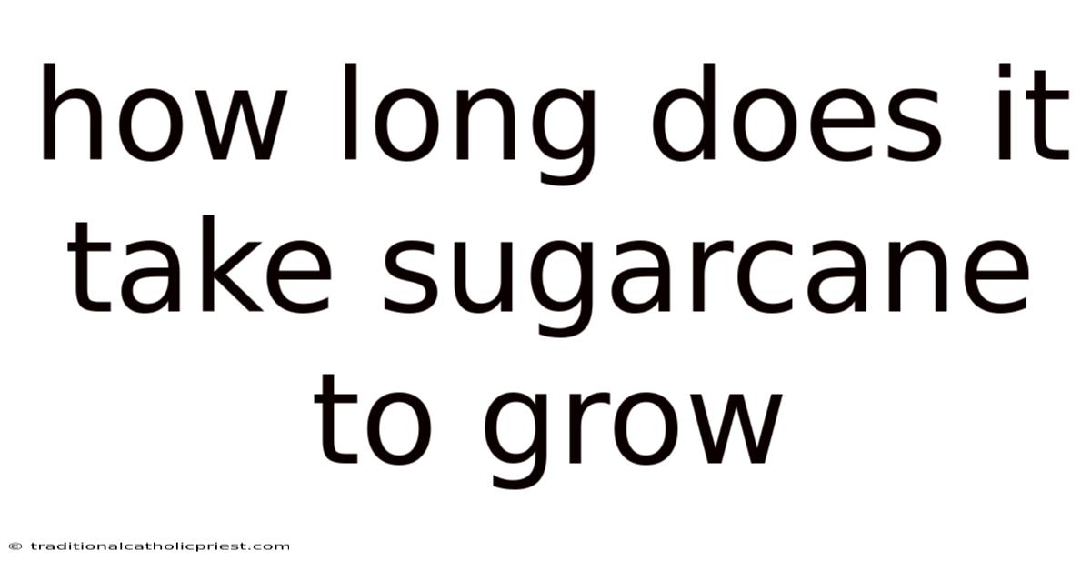 How Long Does It Take Sugarcane To Grow
