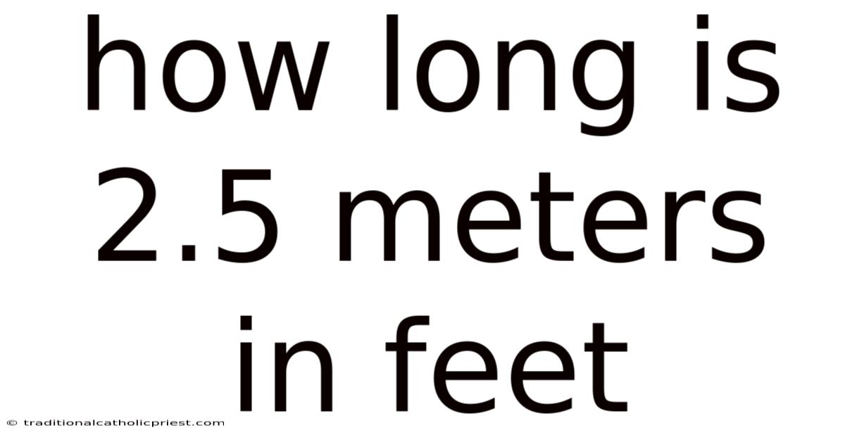 How Long Is 2.5 Meters In Feet