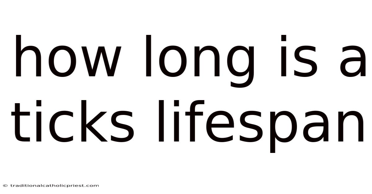 How Long Is A Ticks Lifespan