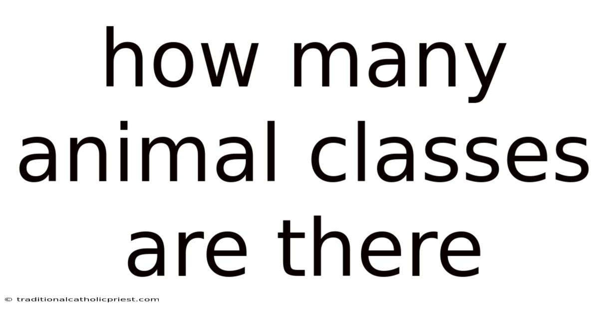 How Many Animal Classes Are There