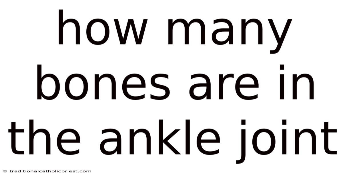 How Many Bones Are In The Ankle Joint