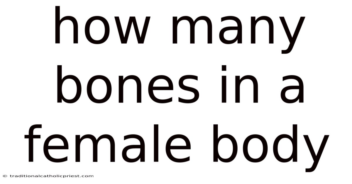 How Many Bones In A Female Body