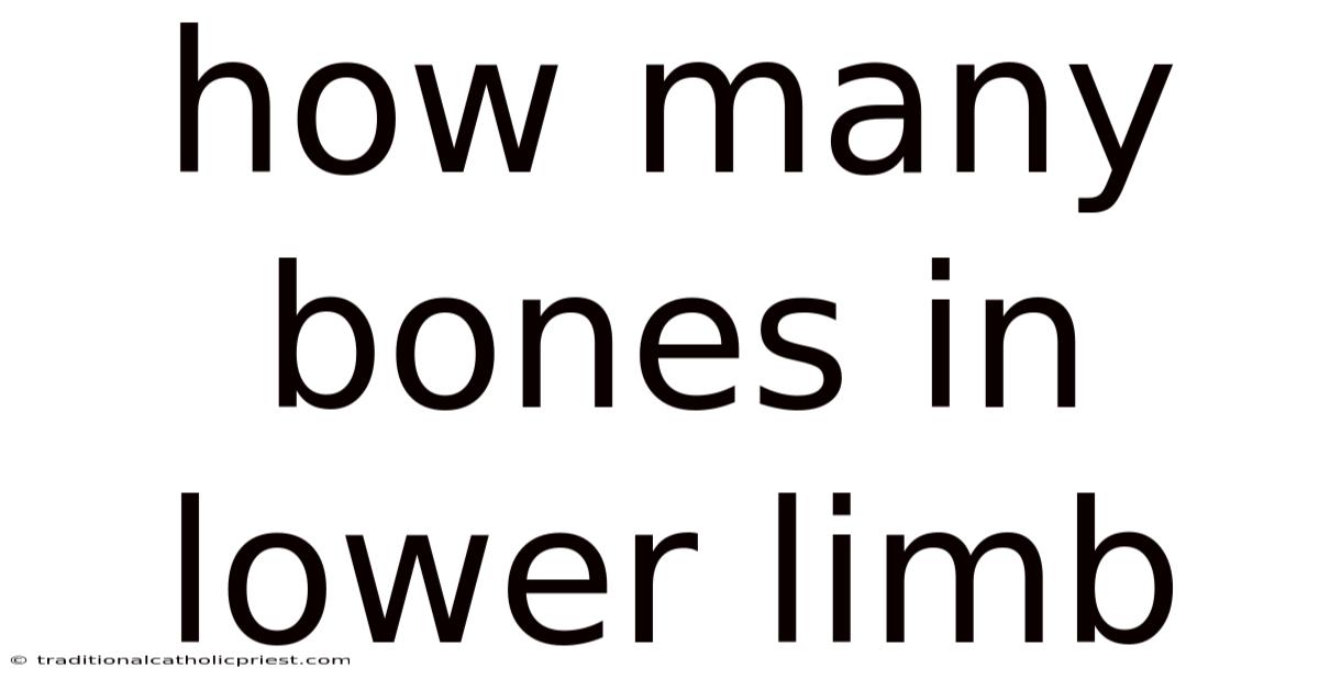 How Many Bones In Lower Limb