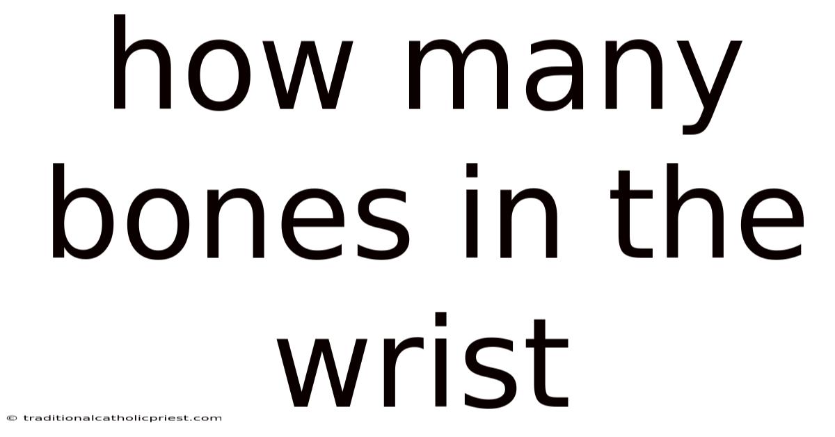 How Many Bones In The Wrist