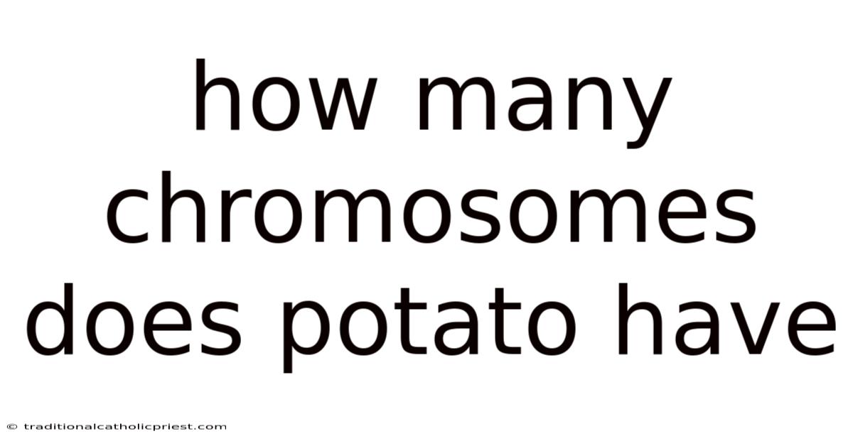 How Many Chromosomes Does Potato Have