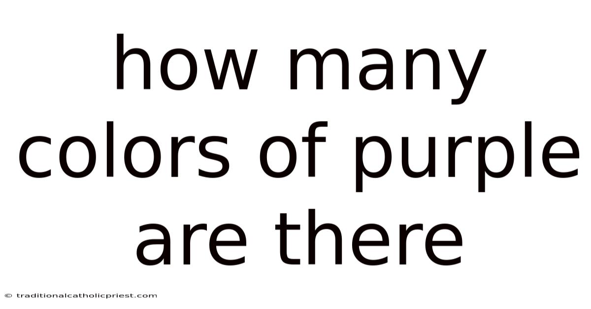 How Many Colors Of Purple Are There