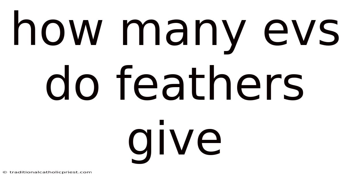 How Many Evs Do Feathers Give