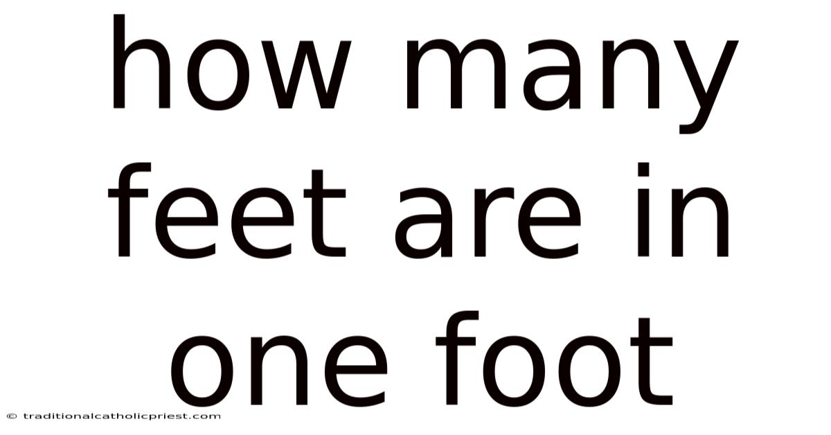 How Many Feet Are In One Foot