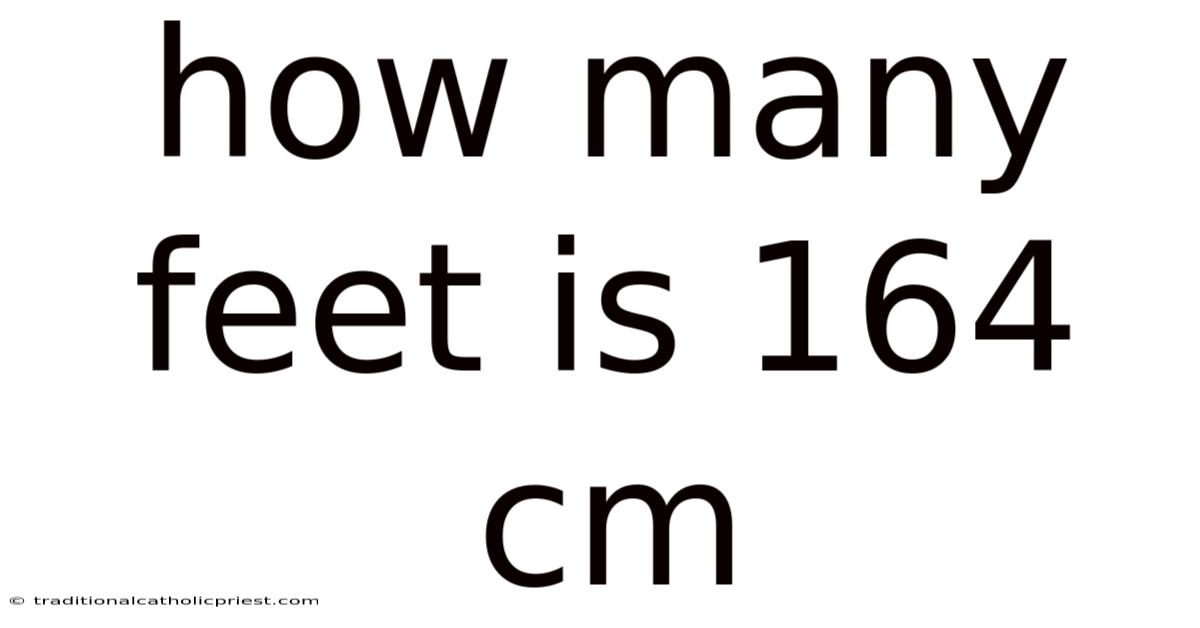 How Many Feet Is 164 Cm