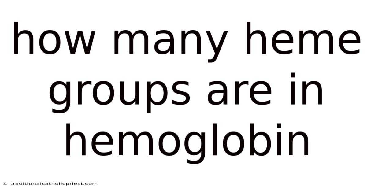 How Many Heme Groups Are In Hemoglobin