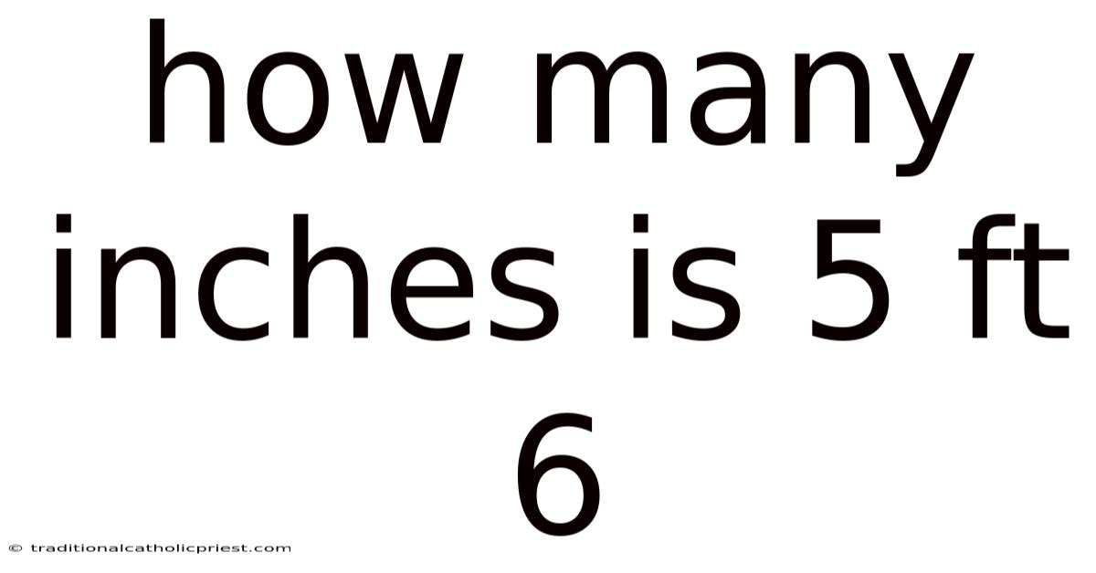 How Many Inches Is 5 Ft 6