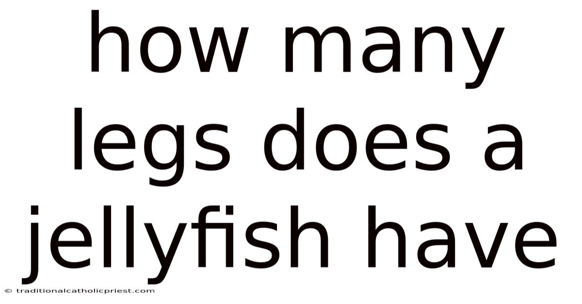 How Many Legs Does A Jellyfish Have