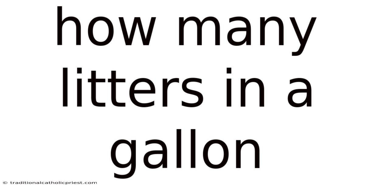 How Many Litters In A Gallon