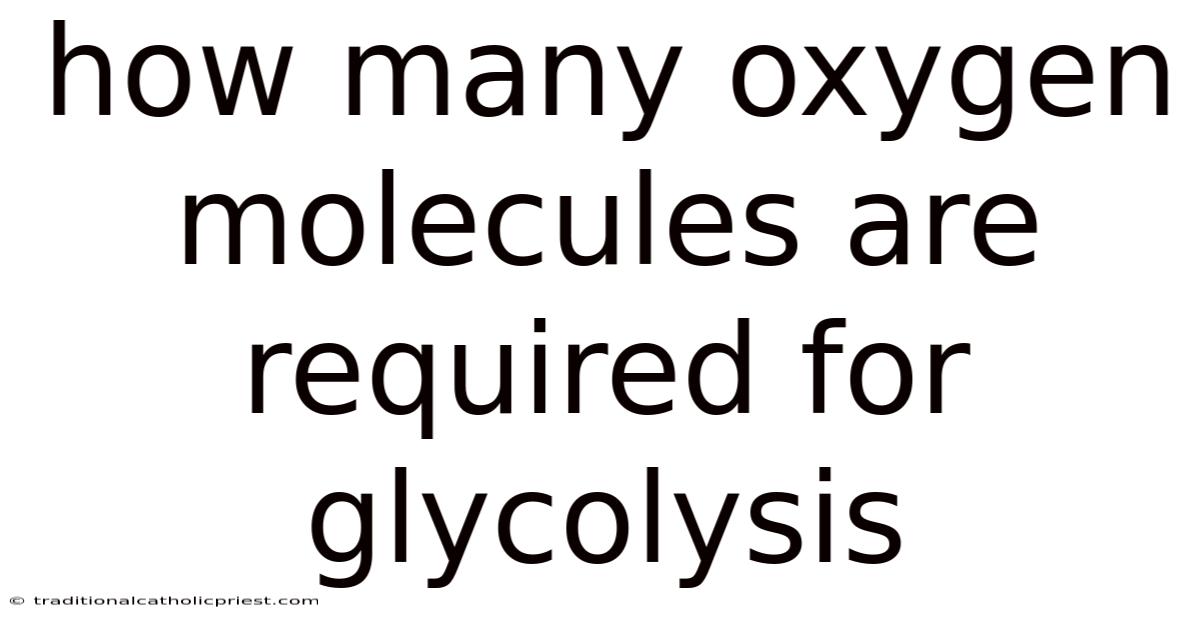 How Many Oxygen Molecules Are Required For Glycolysis