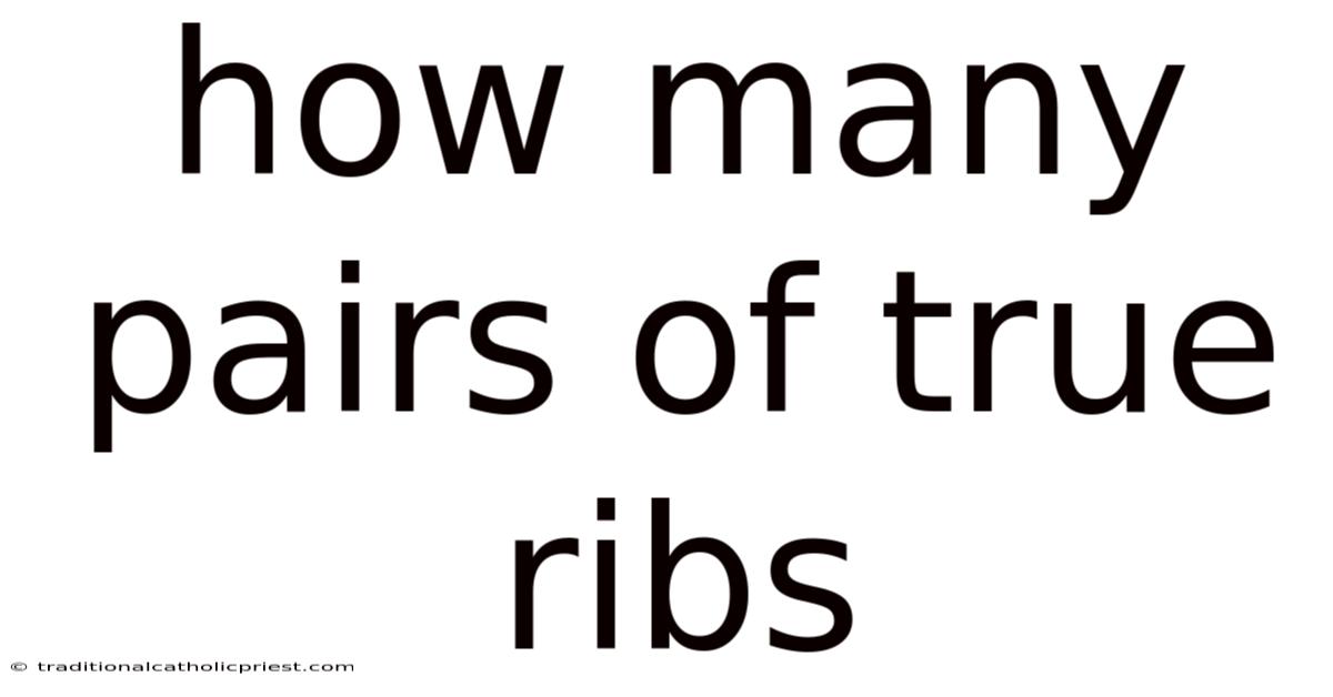 How Many Pairs Of True Ribs