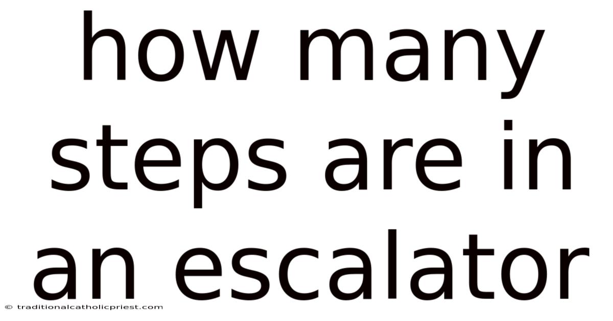 How Many Steps Are In An Escalator